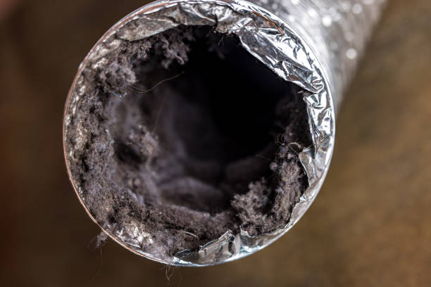 Best Professional Duct Cleaning Services  in Adair Village, OR